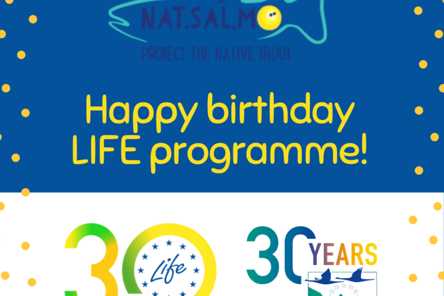Happy birthday LIFE programme!