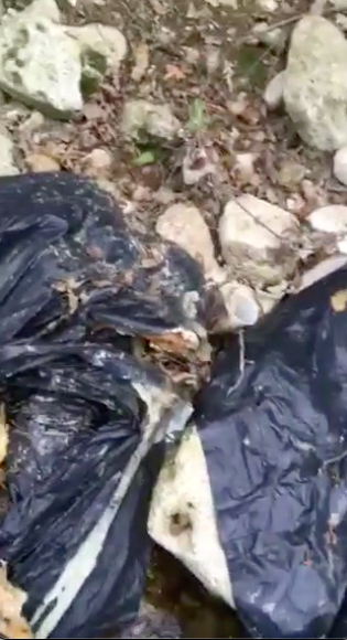 Flag of a garbage in the Sordo river