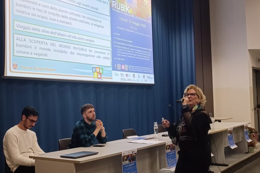 Conferenza finale Rubik